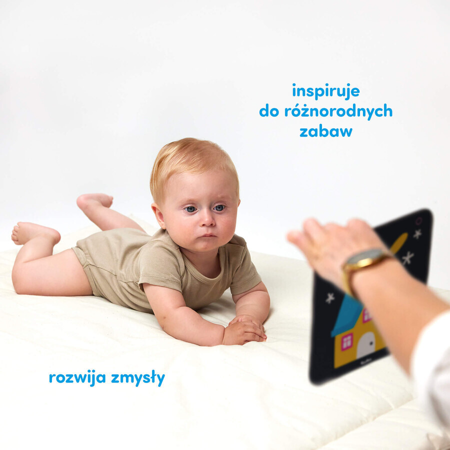 CzuCzu Große Kontrastkarten, Babybuch, 6-9 Monate, 24 Elemente