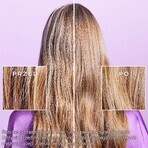 Nuxe Haar Prodigieux set, gladmakende shampoo, 200 ml + gladmakende conditioner, 200 ml