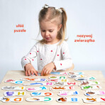 CzuCzu Paired Puzzles Letras, puzzles para niños, a partir de 3 años, 48 elementos