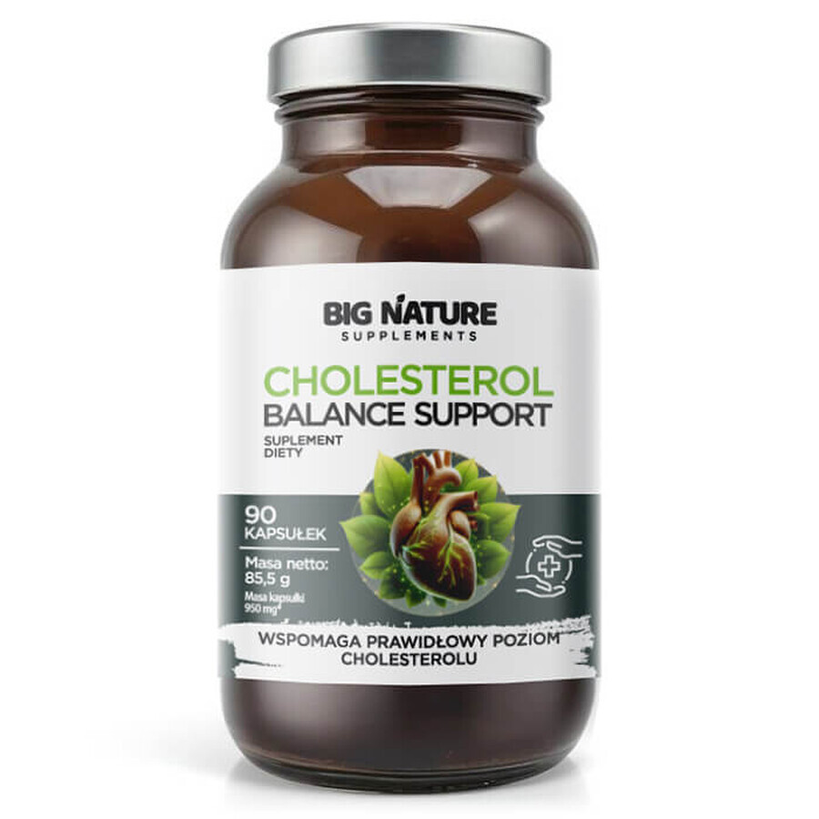 Big Nature Cholesterol Balance Support, 90 gélules