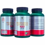 Lanco Nutritions Plumeria medica Max 600 mg, 60 cápsulas Lanco Nutritions Plumeria medica Max 600 mg, 60 cápsulas