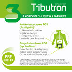 Set Tributron, 2 x 30 capsule Set Tributron, 2 x 30 capsule
