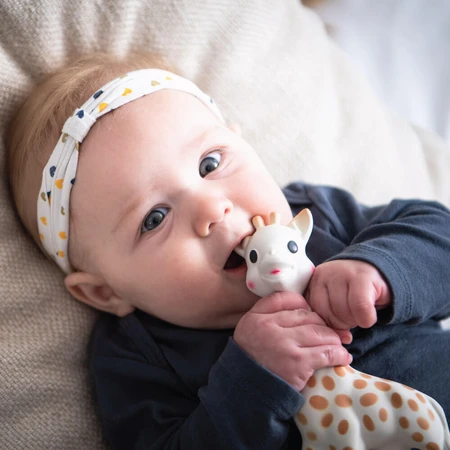 Sophie So'pure Giraffe, Beißring aus Gummi in einer Box, ab Geburt, 1 Stück