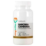 MyVita, Garcinia cambogia, HCA-Extrakt 250 mg, 60 Kapseln