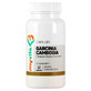 MyVita, Garcinia cambogia, HCA extract 250 mg, 60 capsules