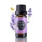 Aceite esencial, Lavanda, 10 ml, Oleya