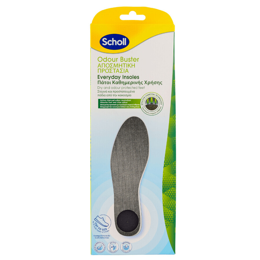 Odor Control Brants, 1 pair, Scholl