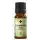 Atlas Ceder etherische olie, 10 ml, Ellemental
