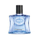 After Shave, Ocean, 100 ml, Brut