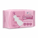 Bocioland, postnatale Binden mit Flügeln, hoch saugfähig, Tag und Nacht, 10 Stück