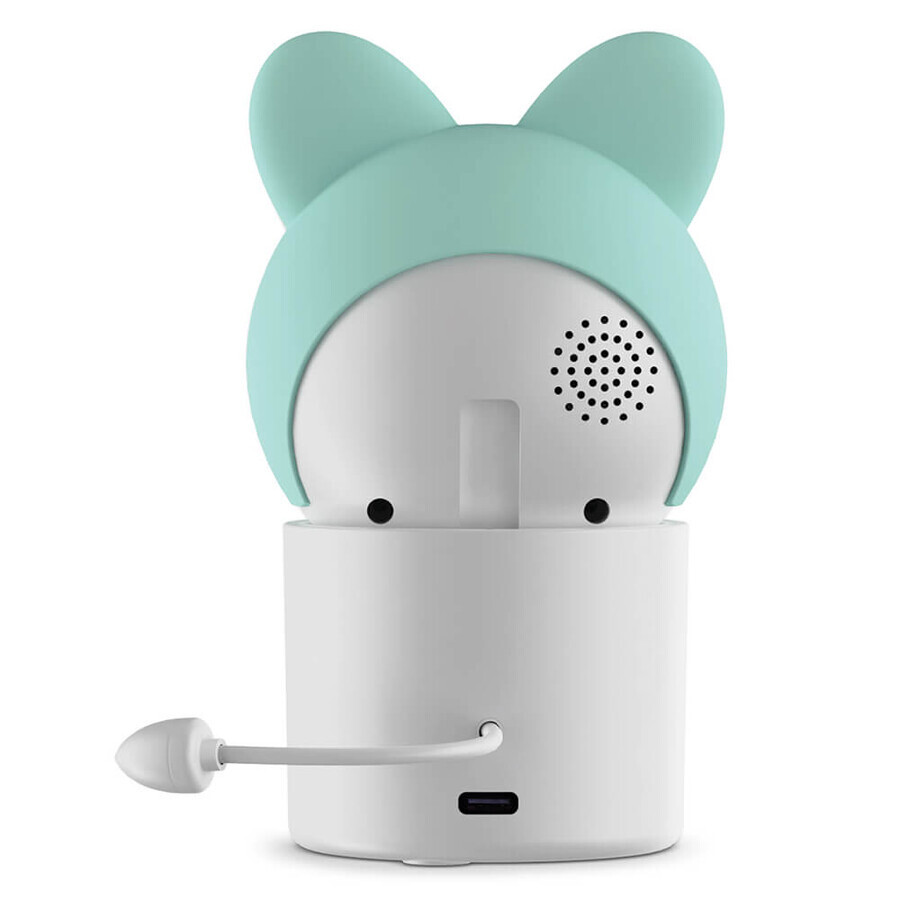 Neno Orso, a wireless IP video nanny