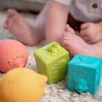 Sophie Giraffe So'pure set, rubber teether on wheel, from 3 months, 1 piece + cubes, 2 pieces + balls, 2 pieces