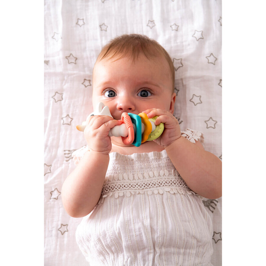 Sophie Giraffe So'pure set, rubber teether on wheel, from 3 months, 1 piece + cubes, 2 pieces + balls, 2 pieces