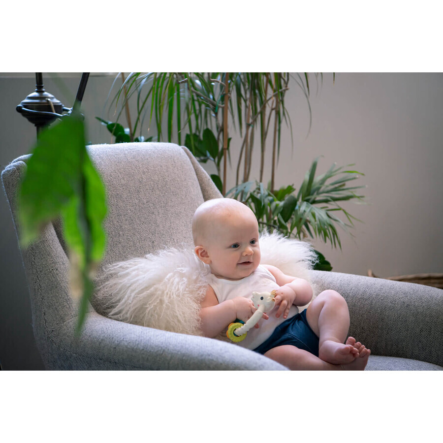 Sophie Giraffe So'pure set, rubber teether on wheel, from 3 months, 1 piece + cubes, 2 pieces + balls, 2 pieces