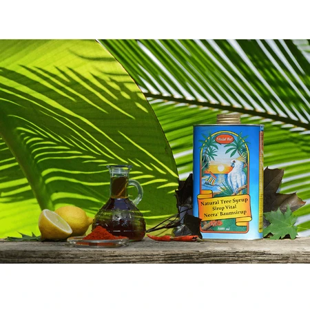 Madal Bal Neera, natural tree syrup, 1000 ml