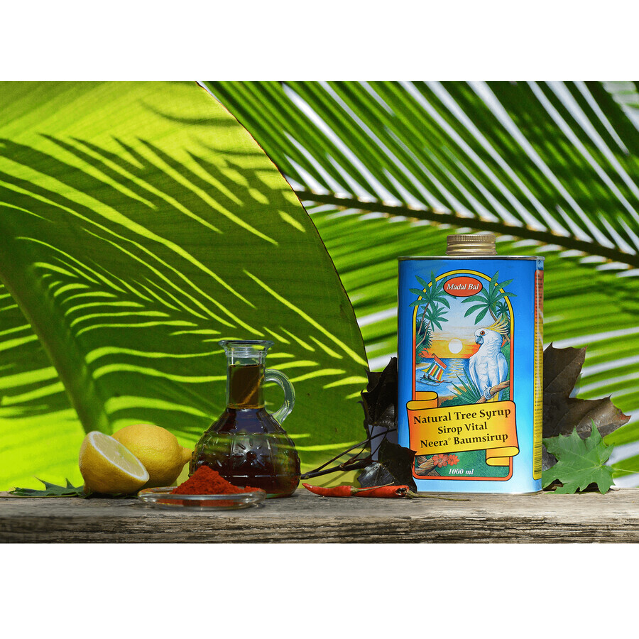 Madal Bal Neera, sciroppo naturale di alberi, 1000 ml
