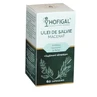 Sage oil macerate, 60 soft capsules, Hofigal