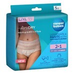 Canpol Babies, culotte postnatale respirante 2 en 1, avec coussinets, jetable, taille L/XL