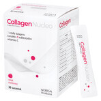 Collagen Nucleo, raspberry flavor, 30 sachets Collagen Nucleo, raspberry flavor, 30 sachets