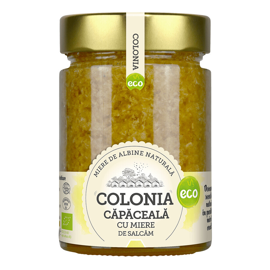 Bouchon de miel de sallow bio, 420 g, Cologne