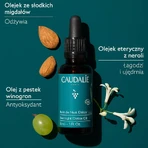 Caudalie Vinoclean, aceite de noche detox, 30 ml