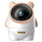 Neno Ami, a wireless IP video nanny