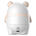 Neno Ami, a wireless IP video nanny