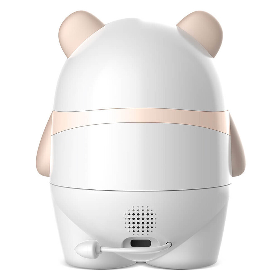Neno Ami, a wireless IP video nanny