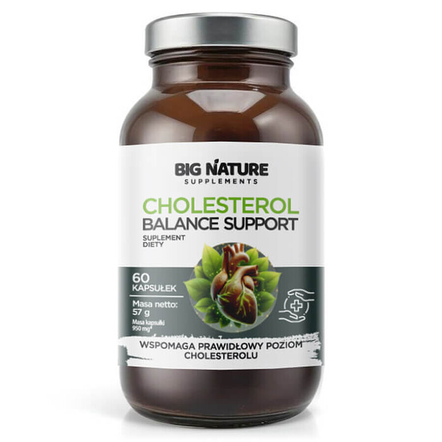 Big Nature Cholesterol Balance Support, 60 gélules