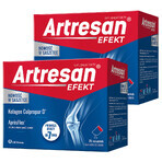 Artresan Effect set, 2 x 25 sachets