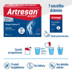 Artresan Effect set, 2 x 25 sachets