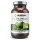 Big Nature