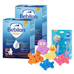 Set Bebilon Advance Pronutra 5 Junior, nährstoffreiche Milchnahrung, für Vorschulkinder, 2 x 1000 g + Canpol Babies, Badespielzeug-Set, ab Geburt, 5 Stück Set Bebilon Advance Pronutra 5 Junior, nährstoffreiche Milchnahrung, für Vorschulkinder, 2 x 1000 g + Canpol Babies, Badespielzeug-Set, ab Geburt, 5 Stück