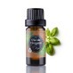 Aceite esencial, Or&#233;gano, 10 ml, Oleya