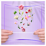 Set Always Dailies Fresh Protect, Damenbinden, Normal, 2 x 58 Stück