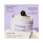 Caudalie Vinoterapeuta, manteca corporal reponedora de lípidos vegana, 250 ml