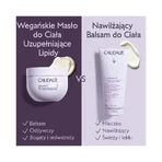 Caudalie Vinoterapeuta, manteca corporal reponedora de lípidos vegana, 250 ml