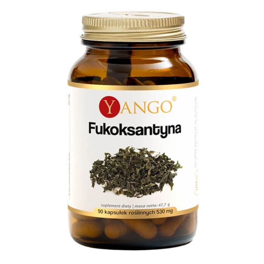 Yango Fucoxanthin, 90 Kapseln