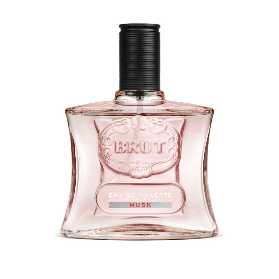 Apa de toaleta Musk, 100 ml, Brut