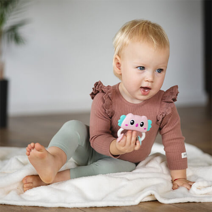 BabyOno, rattle, owl, from birth, 1 piece