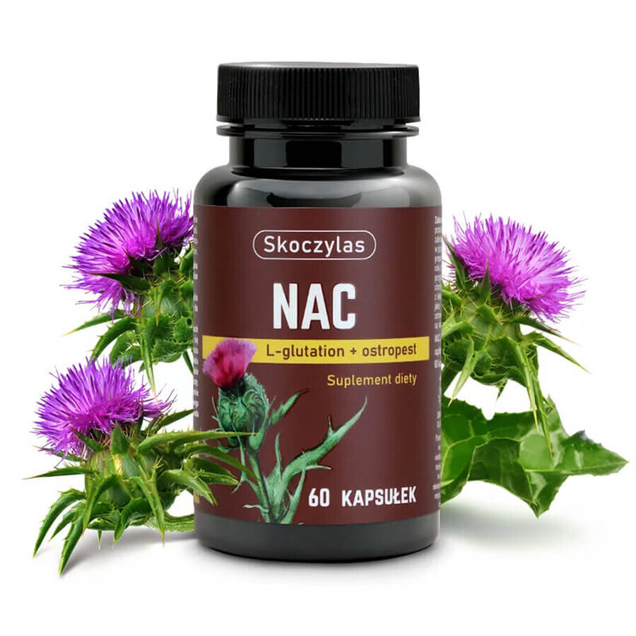 Skoczylas NAC, L-glutation, ciulin, 60 capsule