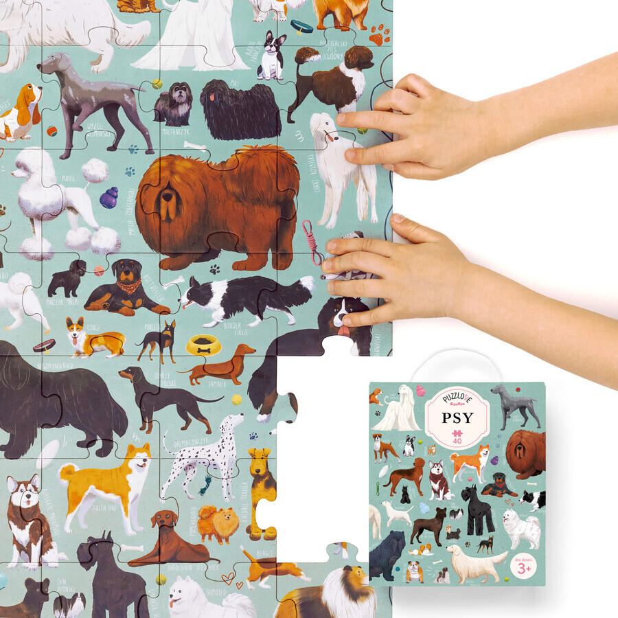 CzuCzu Puzzlove Perros, puzzle para niños, a partir de 3 años, 40 elementos