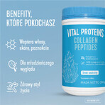Vital Proteins Péptidos de Colágeno, sabor neutro, 567 g + neceser de regalo