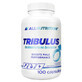 Allnutrition Tribulus Testosterone Booster, mace, 100 capsules