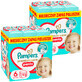 Pampers Premium Care Pants set, diapers, size 6, 13-19 kg, 2 x 93 pieces