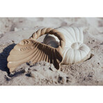 Natruba, natural rubber teethers, shells, from birth, 2 pieces Natruba, natural rubber teethers, shells, from birth, 2 pieces