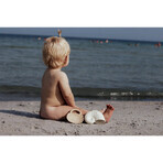 Natruba, natural rubber teethers, shells, from birth, 2 pieces Natruba, natural rubber teethers, shells, from birth, 2 pieces