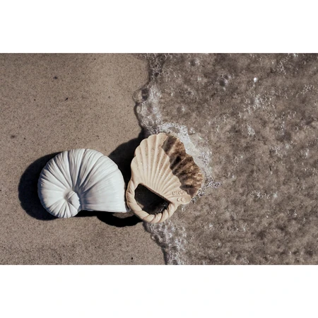 Natruba, Beißringe aus Naturkautschuk, Muscheln, ab Geburt, 2 Stück