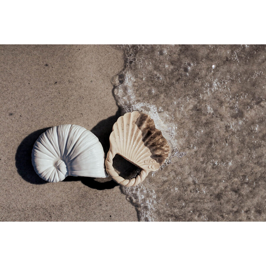 Natruba, natural rubber teethers, shells, from birth, 2 pieces