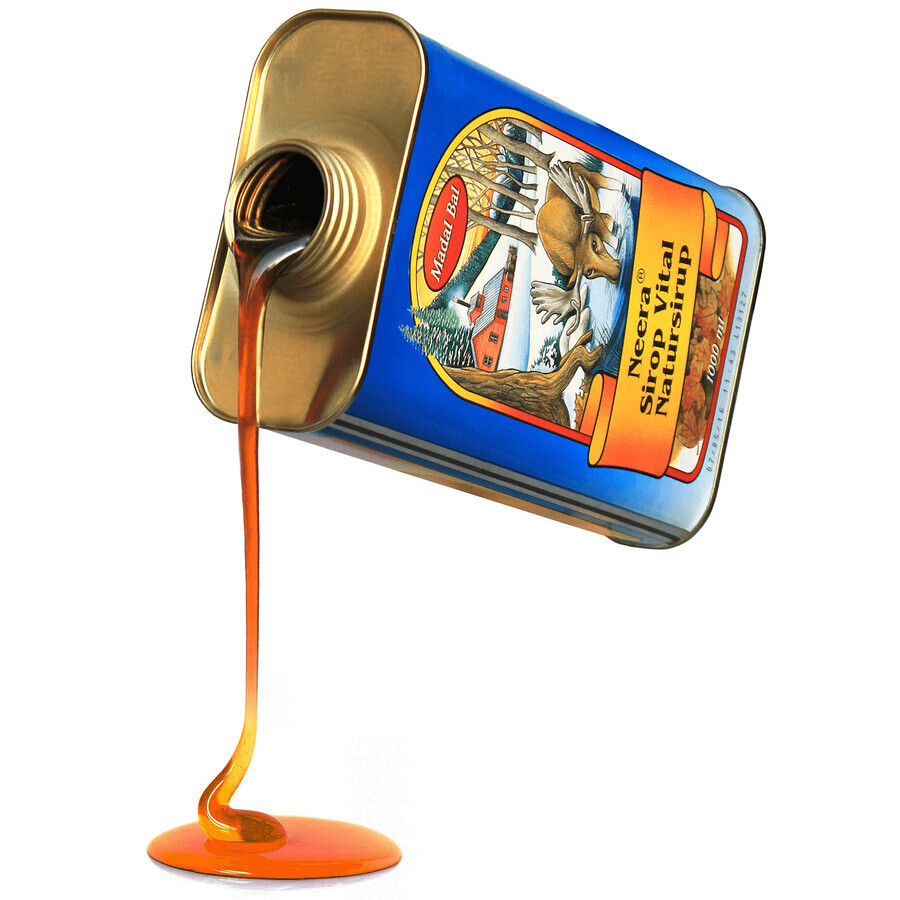 Madal Bal Neera, natürlicher Baumsirup, 500 ml